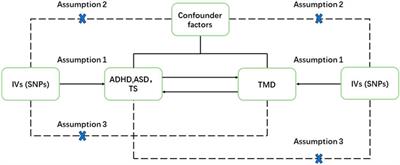 Neurodevelopmental disorders as a risk factor for temporomandibular disorder: evidence from Mendelian randomization studies